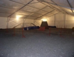 14 x 25 Agility Praha - 2